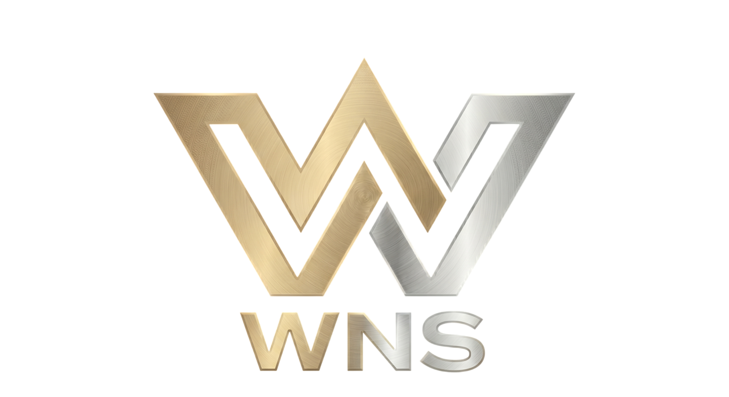 WNS Accounting Partners Inc.